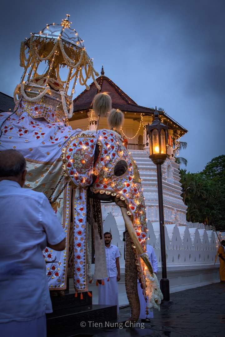 Celebrate Culture